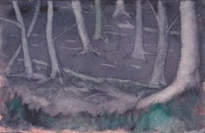 Forest Floor-early experiment