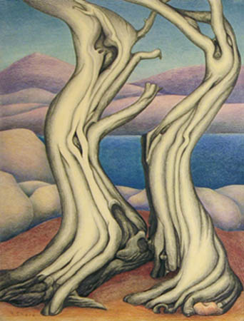Henrietta Shore Cypress Trees colored pencil on paper 1930