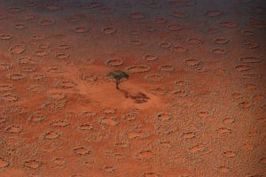 African Fairy Circles-  Photo by N. Juergens