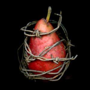 Debb VanDelinder-  I Will Break Free 2011