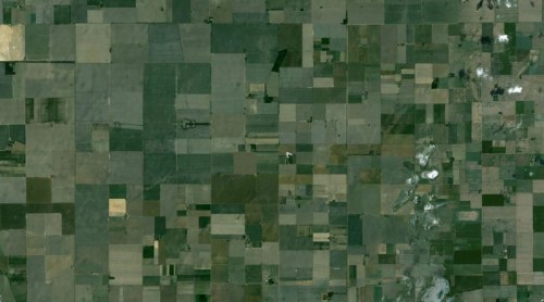 man-plants-guitar-shaped-forest-for-wife-in-pampas-argentina-2