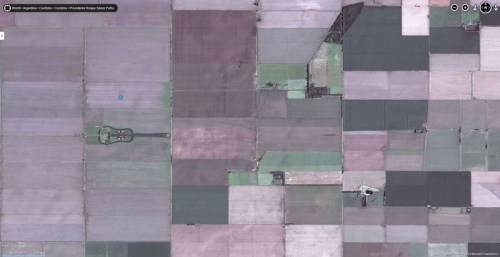 man-plants-guitar-shaped-forest-for-wife-in-pampas-argentina-3