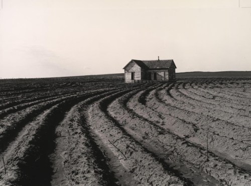 dorothea-lange-depression-inspiration-tractored-out-childress-county-texas