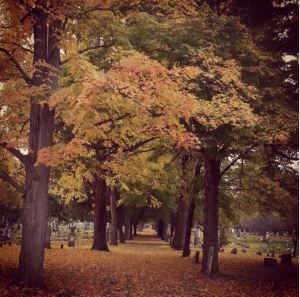 Maple Grove Cemetery Horseheads