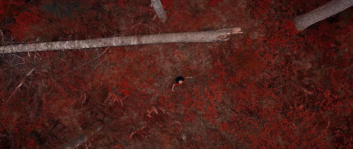 Esperanza Spalding Lest We Forget