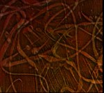 9914255 Here There Everywhere detail 2